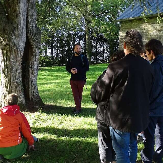 CPIE Forêt de Brocéliande