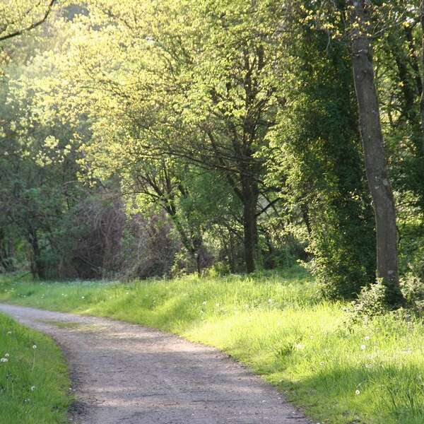 Voie verte Ploërmel - Guer - Messac