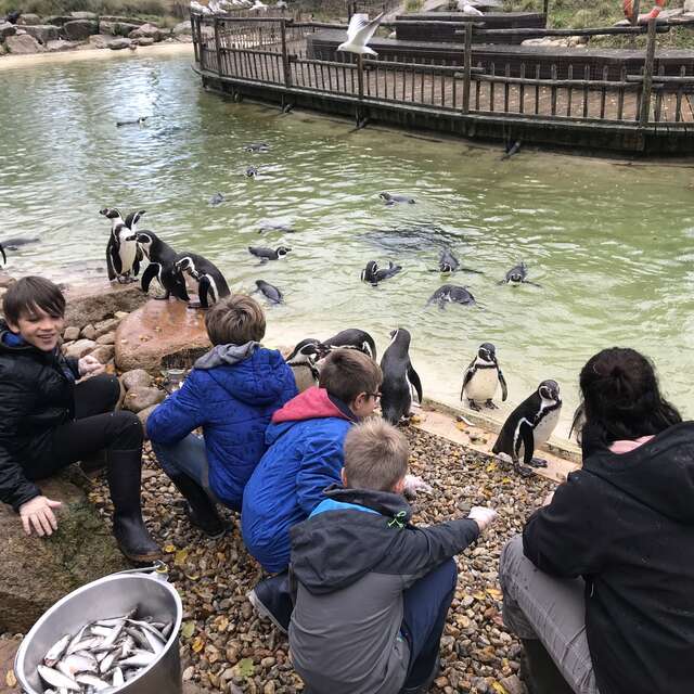 Soigneur d’un jour à Branféré