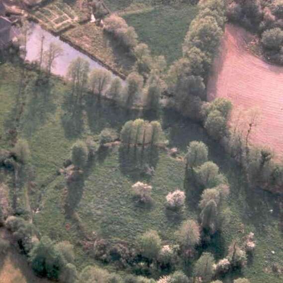 La motte Salomon - n°134