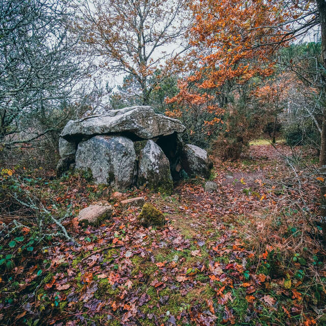 Dolmen de Kerdaniel