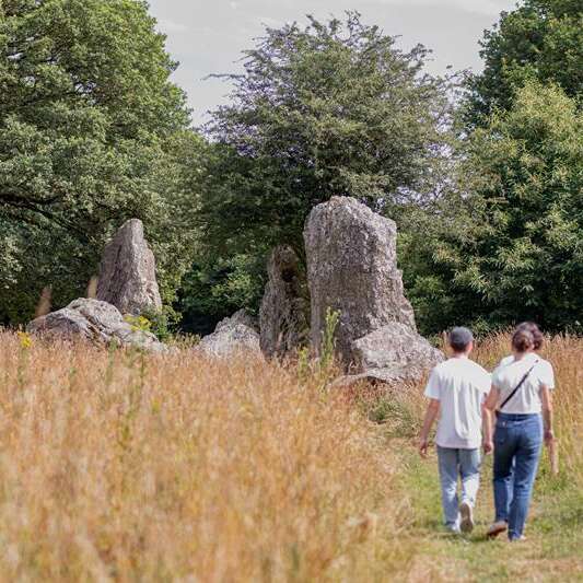 Alignement de menhirs de Lampouy