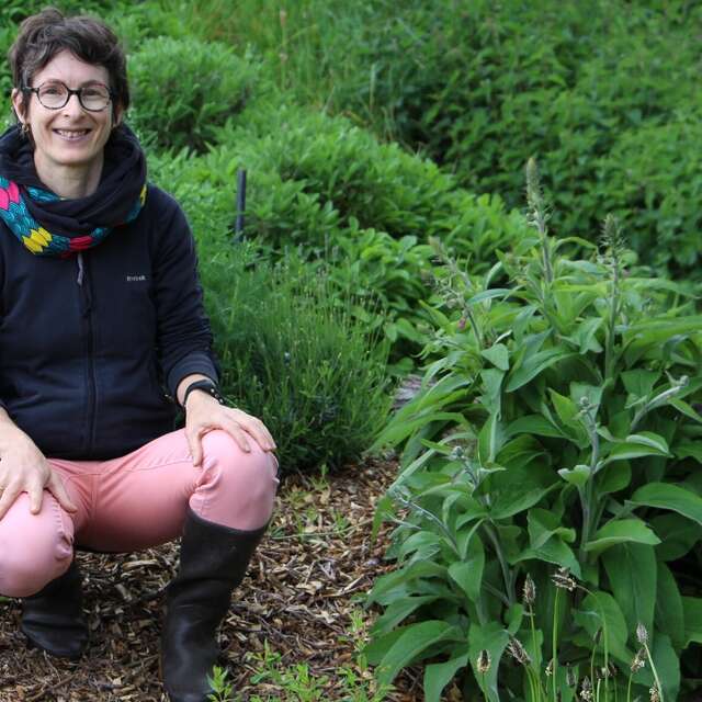 Plantes et fées bénéfiques - Natachat HUET