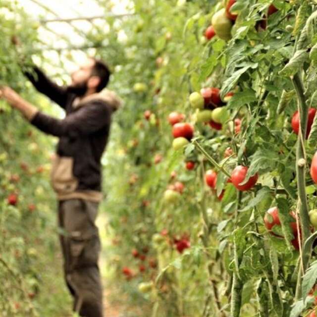 La Ferme Maraîchage bio