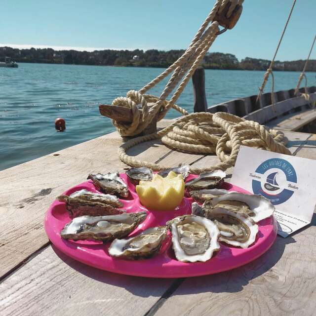 Les huîtres de l’Arz