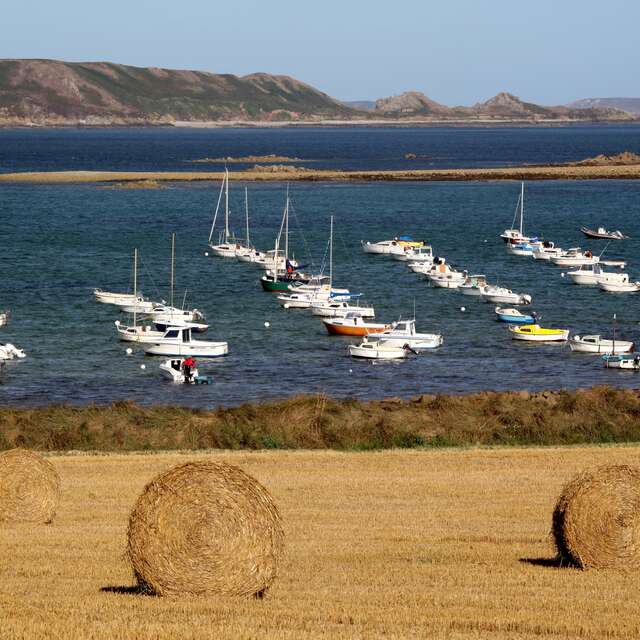 Mouillage du Port du Royau