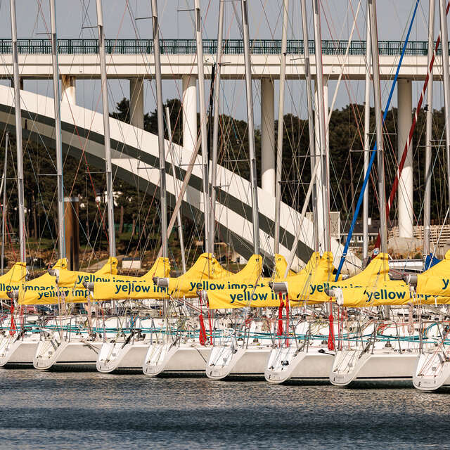 Yellow Impact Sailing - Location de voiliers