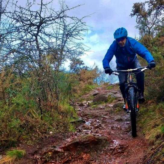 Circuit VTT de l'orée pourpre de Brocéliande n°12