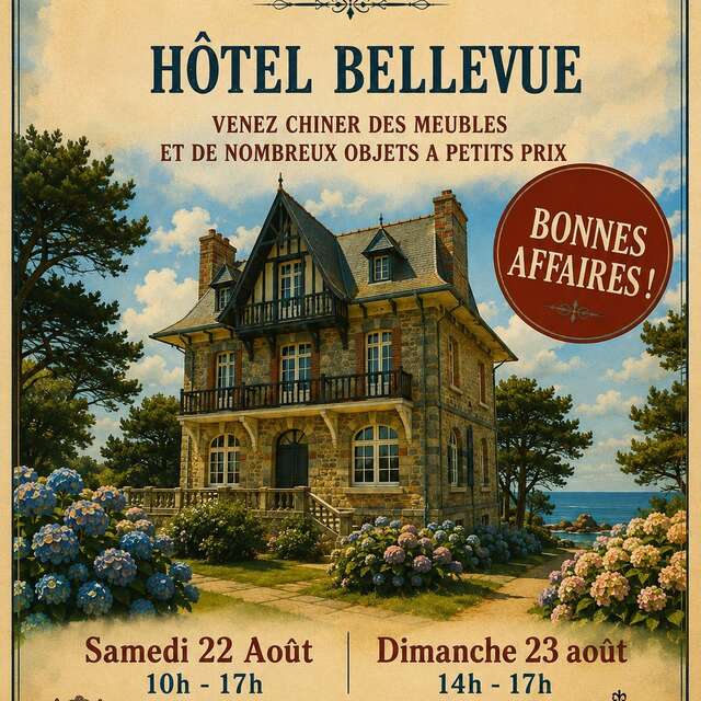 Vide maison