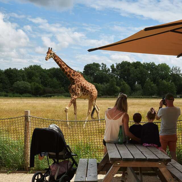 Week-end en famille à Branféré