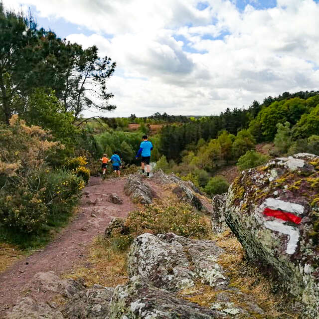 Circuit des petits loups n°128