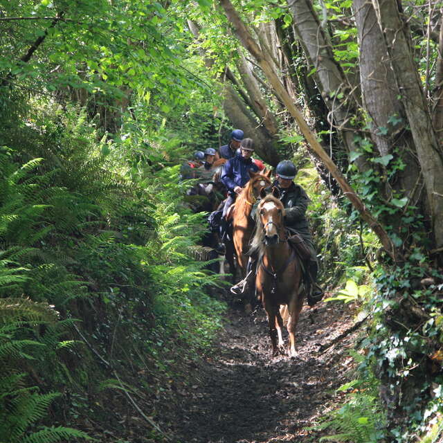 Boucle équestre du pays de Brocéliande