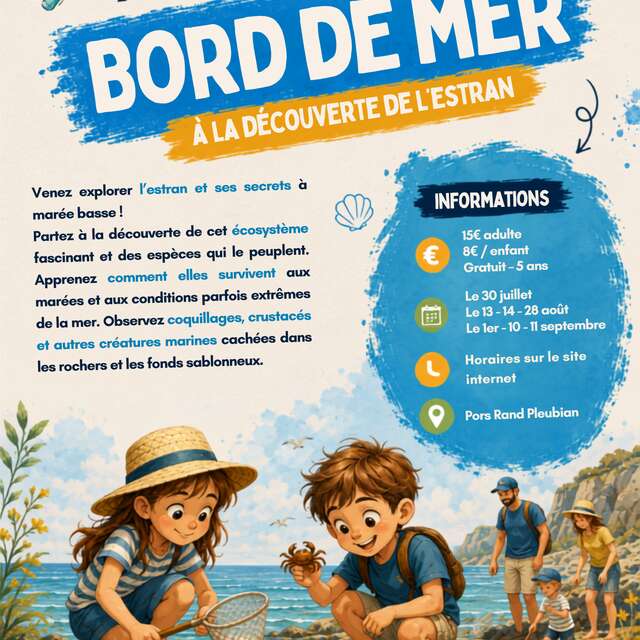 Sortie : estran et bord de mer