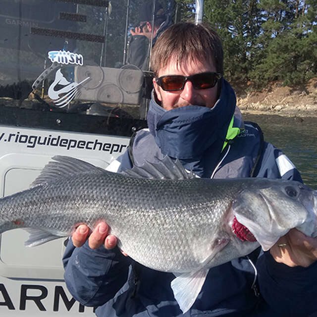 Moniteur, Guide de pêche