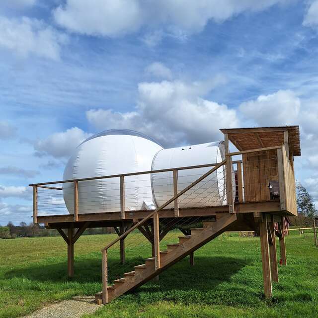 Les insolites de Sophie - Bulle Fée Viviane