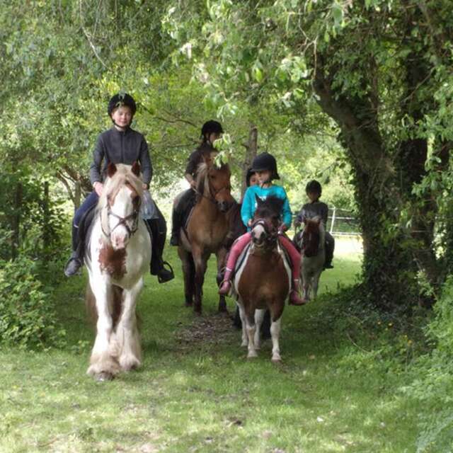 Centre équestre de Pluvigner