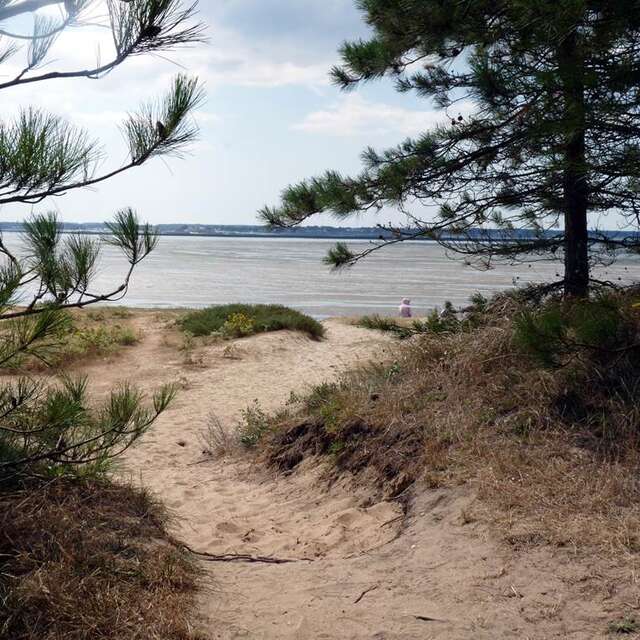 Plage du Palandrin