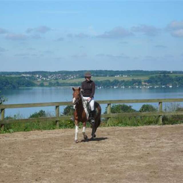 Centre Equestre et Poney Club Les Ecuries des Perrières