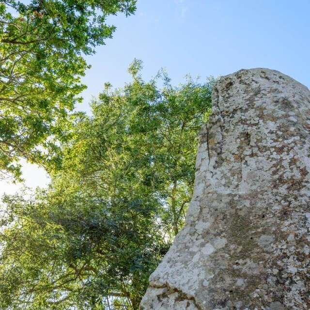 Les Géants de Kerzerho