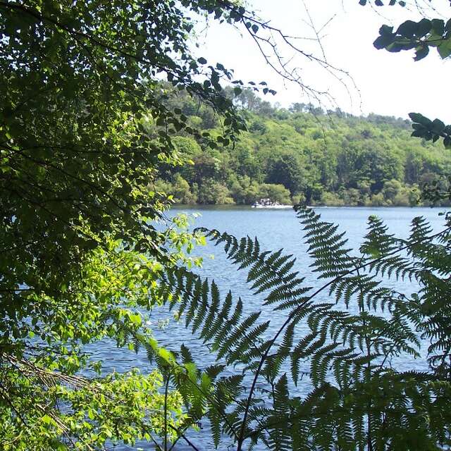 Lac de Guerlédan