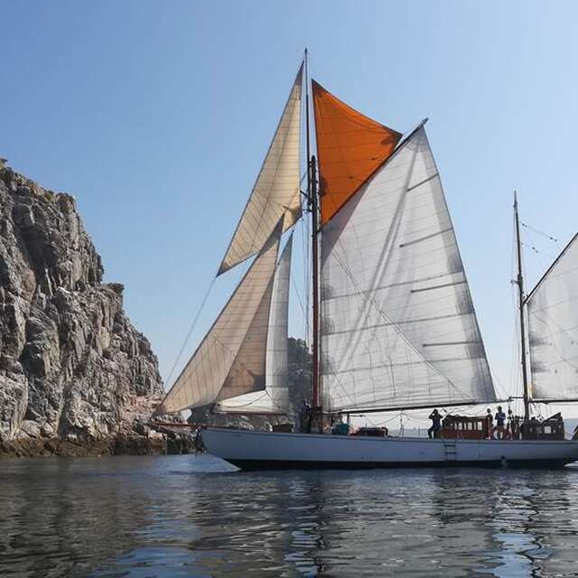 Skeaf - Semaine du Golfe