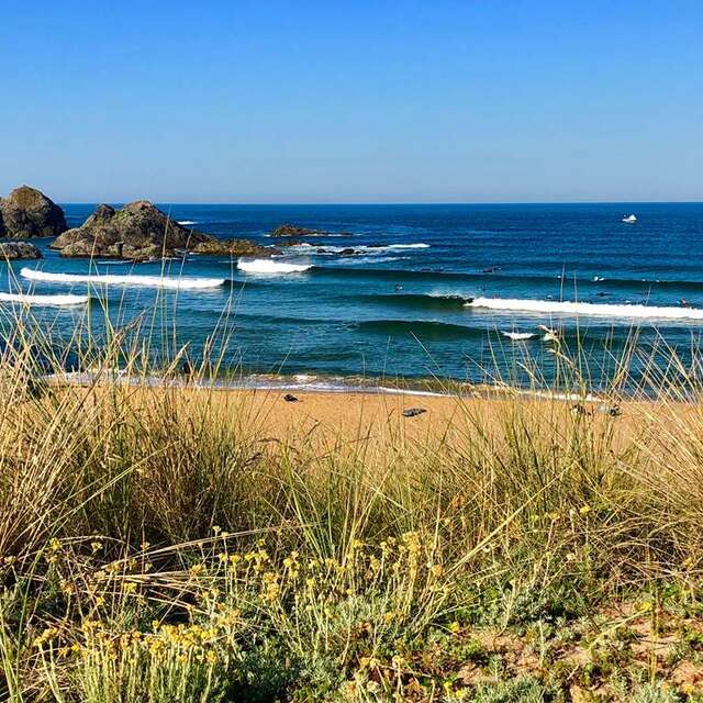 TY SCHOOL, école de surf et stand up paddle de Belle ile en mer