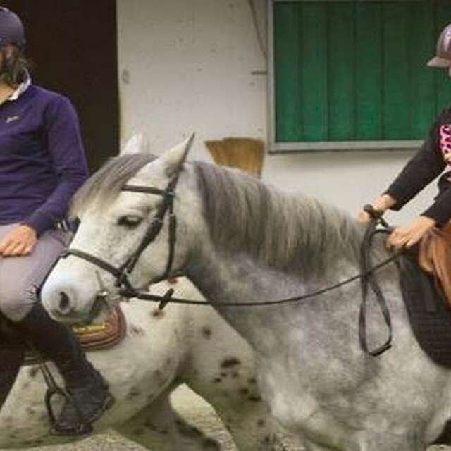 Centre équestre Les Ecuries de Bel Air