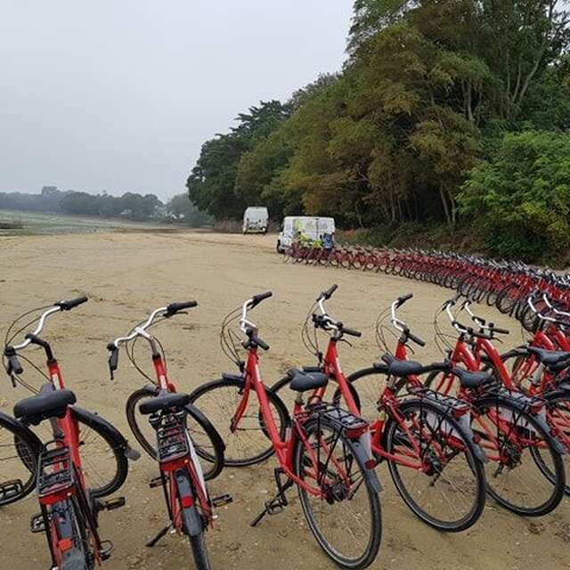 Véloc' Ouest : location et livraison de vélo