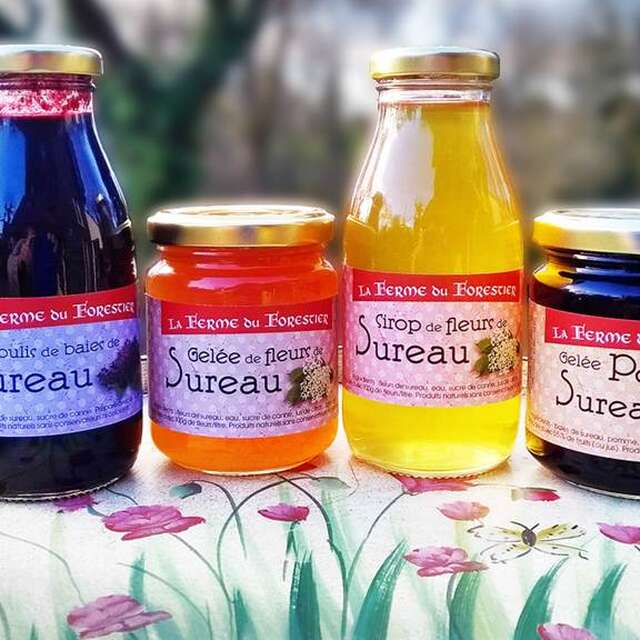 La Ferme du Forestier : Vinaigre de Cidre et à la fleur de Sureau
