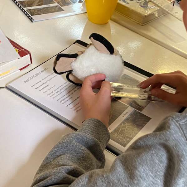 Dans la peau d'un bagueur à Terres d'Oiseaux