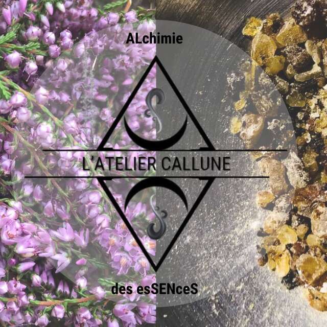 Visite de l'Atelier et de sa boutique