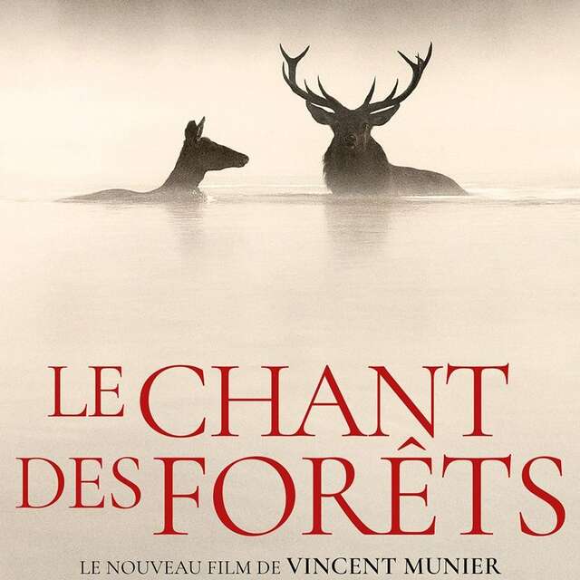 Ciné Plus Limousin - Le chant des forêts