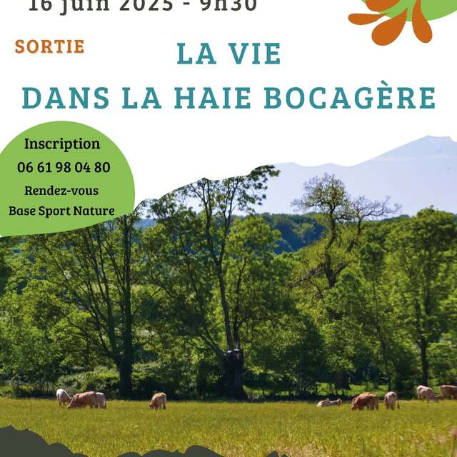 La vie dans la haie bocagère