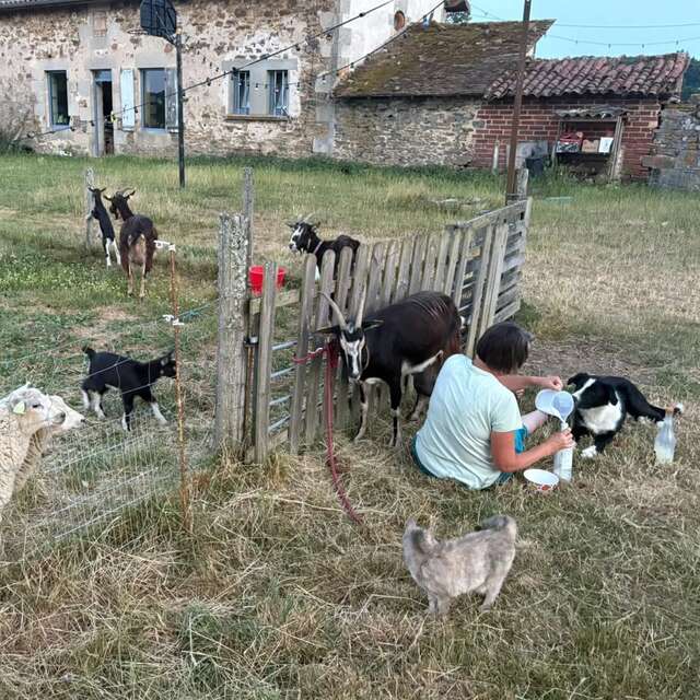 Éveil et Merveilles à la Ferme avec Les Sabots de Laine