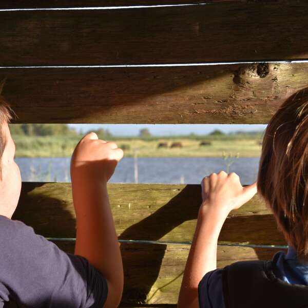 Mardi famille à Terres d'Oiseaux