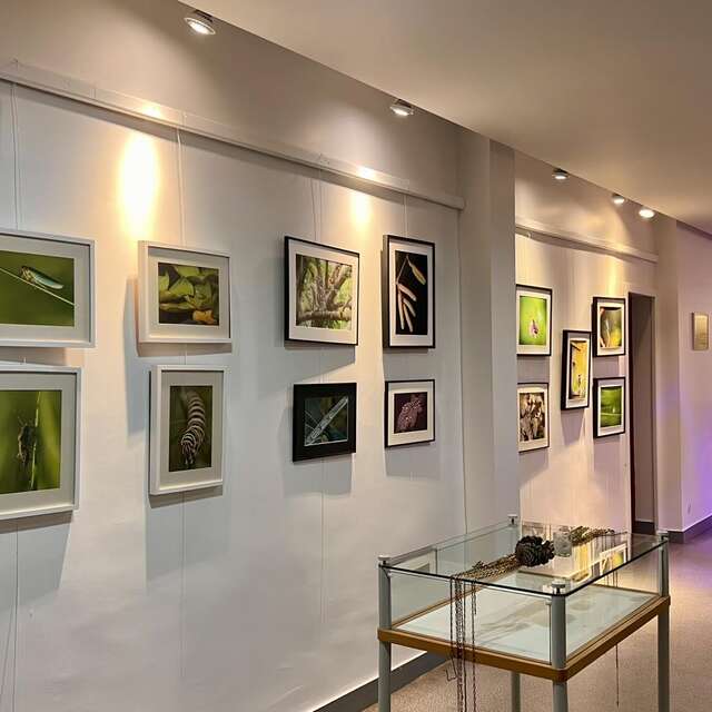 Exposition de photos du LAN au Foyer Rural