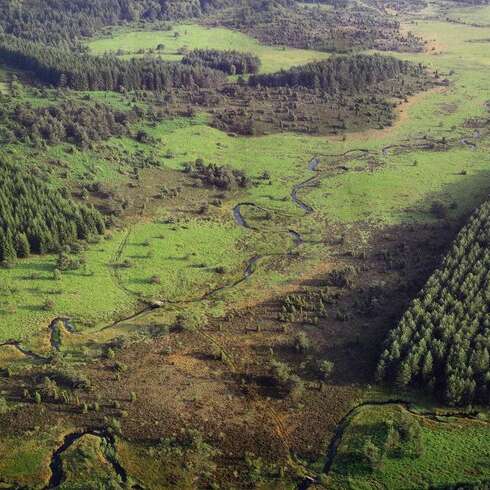 Sentier de découverte des landes et tourbières de la Mazure : Grande boucle