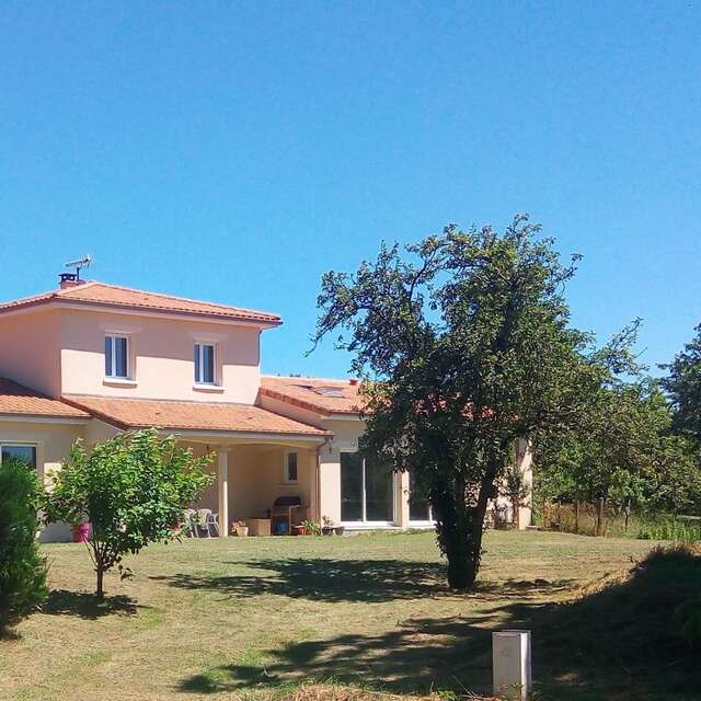 Le pin parasol