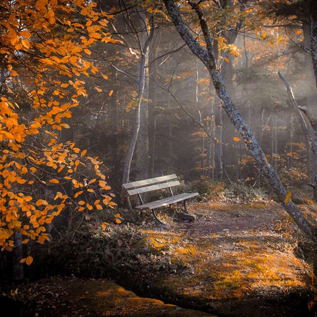 Exposition – Les tableaux photos de Laetitia Larquier