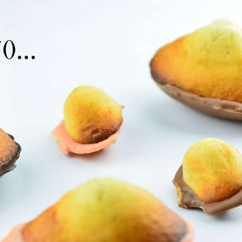Madeleines Bébé