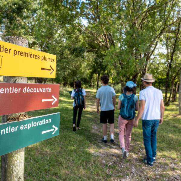 Samedi ornitho à Terres d'Oiseaux