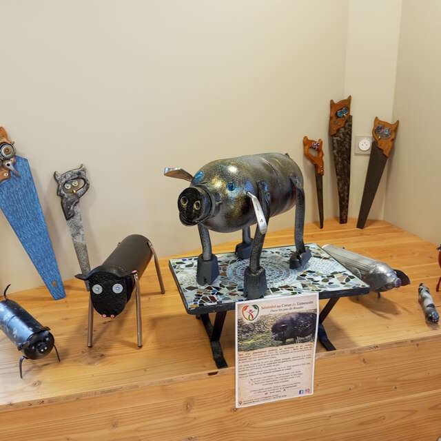 Exposition – Dans les pas de Rosalie