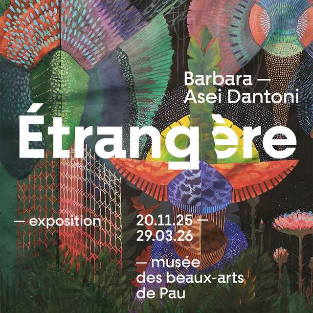Visite flash - Exposition: Barbara Asei Dantoni - Étrangère