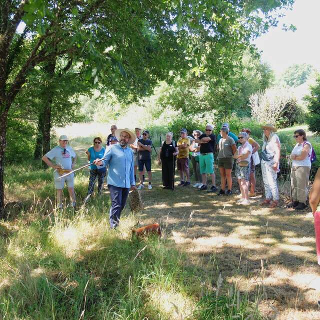 Balade racontée «Un coin de Périgord-Limousin en 2050»