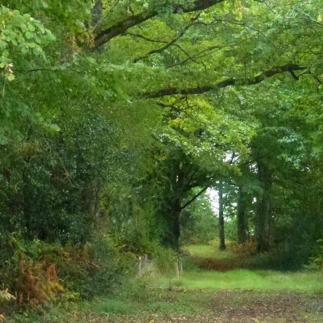 Chemin de Bonnefond