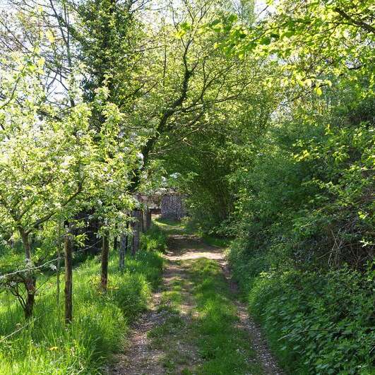 Sentier Entre Puys et Landes