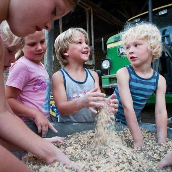 Camping à la ferme du Domaine de Royères