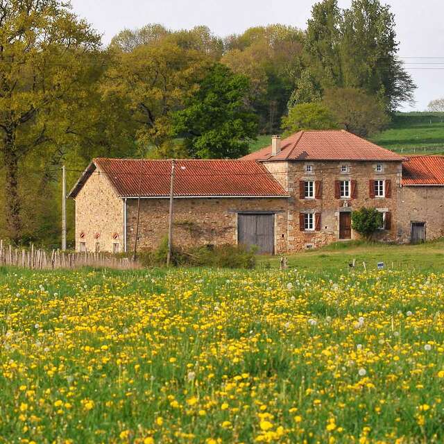Sentier chez le Geai