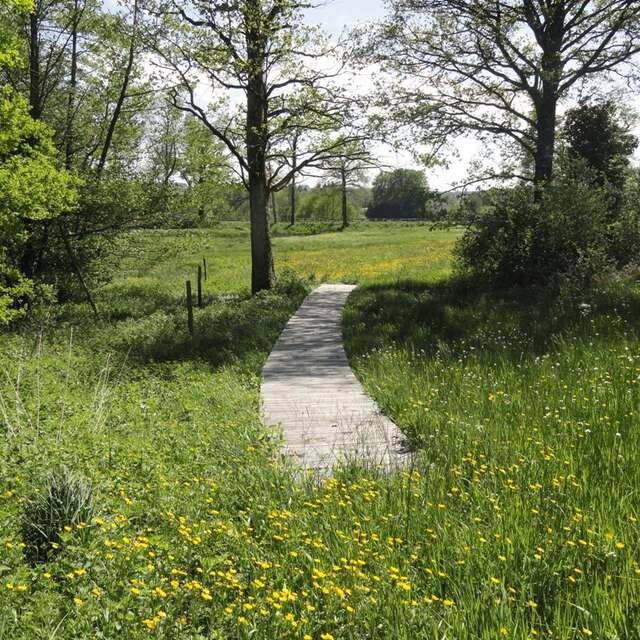 Sentier du bois des Chapelles