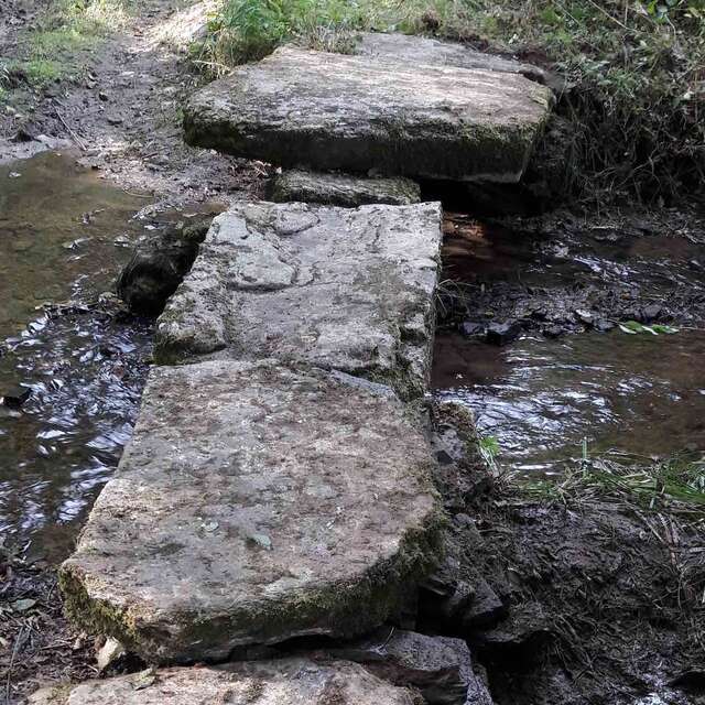 Sentier les biches